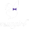 Playgirl